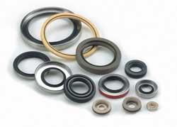 ptfe rotary shaft seals